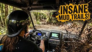 Deep Into The Mountains THIS MUD Is INSANE