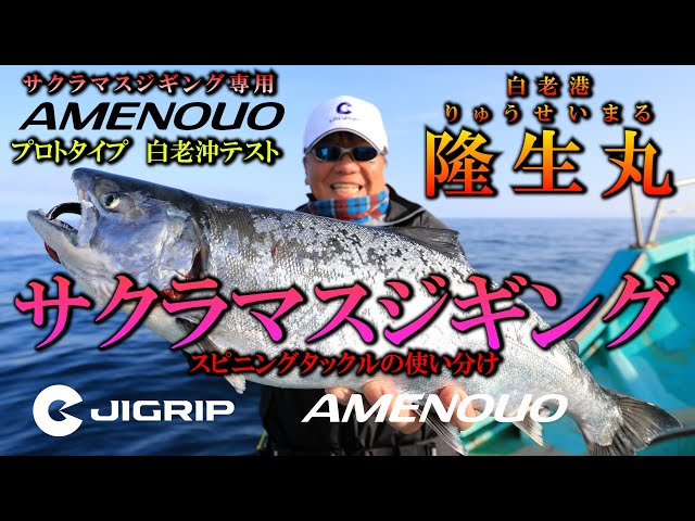 ☆サクラマスジギング JIGRIPのAMENOUOでサクラマスを狙う