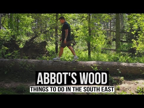 ABBOT'S WOOD, ARLINGTON - Things to do in South East England.