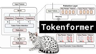 Tokenformer