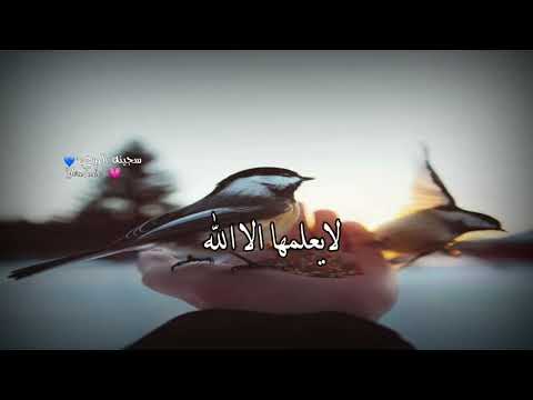 هل لك سرا عند الله حالات واتس اب ادعيه ستوريات انستا دينيه قصيرة اناشيد إسلامية