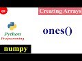 Numpy Ones Function | Creating NumPy Arrays | Python Tutorials