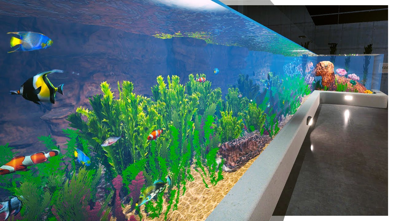 Building a Massive Reef Aquarium - Aquarist