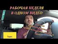 Яндекс доставка.Рабочая неделя в одном видео.Сколько заработал