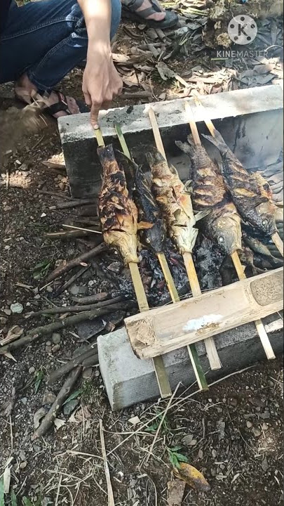 Bakar-bakar ikan mas d siang hari