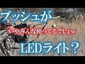 【生配信】ブッシュがLEDって変ですかw【ブッシュクラフト高校】