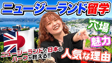 【ニュージーランド留学】迷ってる人必ず見て！プロが魅力を完全解説！