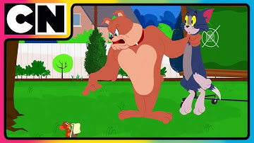 Tom and Jerry 😺🐭| The Greatest Cat & Mouse Game to Have Been Played 🐭🐱 | compilation | @cnindia