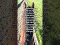 It can definitely work but it all depends on the horse itself and the rider personally #opinion