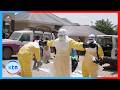 WHO raises alarm following Ebola death toll surpassing 900 in DR Congo