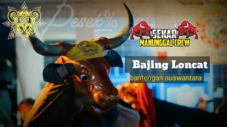 Lagu Pencak Bantengan - BAJING LONCAT