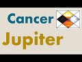 Exalted Jupiter  (Jupiter in Cancer)