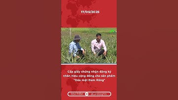 Cấp giấy chứng nhận đăng ký nhãn hiệu cộng đồng cho sản phẩm 