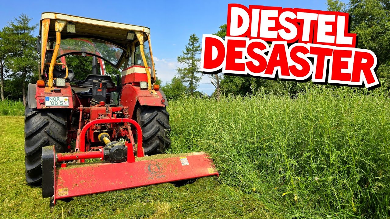 ALLES KOCHT! | TRECKER und MULCHER am LIMIT! | RIEMEN GERISSEN! | Hochzeitstag | IHC 633 | Mr. Moto