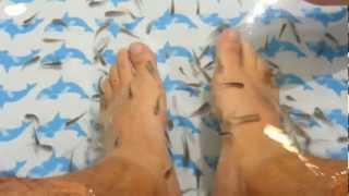 20120728_152537.mp4