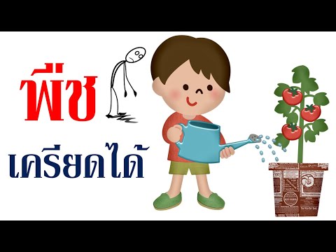 วีดีโอ: ผลของความเครียดจากความร้อนต่อพืช: วิธีดูแลพืชในสภาพอากาศร้อน