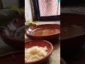 Budgies Drinking water | Color Wings Multan