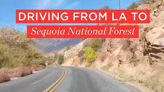 Driving journey from LA to Sequoia National Forest | BAO After Work