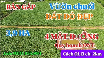 3,9 ha trồng chuối đất đỏ cách QL13 chỉ 2km giá chỉ 1 tỷ 666 tr/ h đất ( 4 mặt đường) đất bằng đẹp 