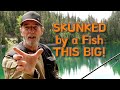 1st retired fishing trip with a eagle on cresent lake  bushcraft explorer