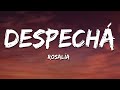 ROSALÍA - DESPECHÁ (Letra/Lyrics)