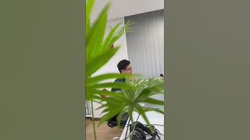 Ai biết gì đâu 🥲 #totolink #routerwifi #wifi #phatwifi #usbwifi #wifimesh