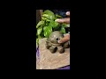 মাটির অক্টোপাস ধূপদানী বানালাম ✨#clay #handmade #artandcraft