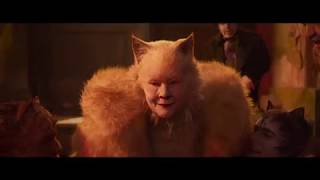 CATS TRAILER