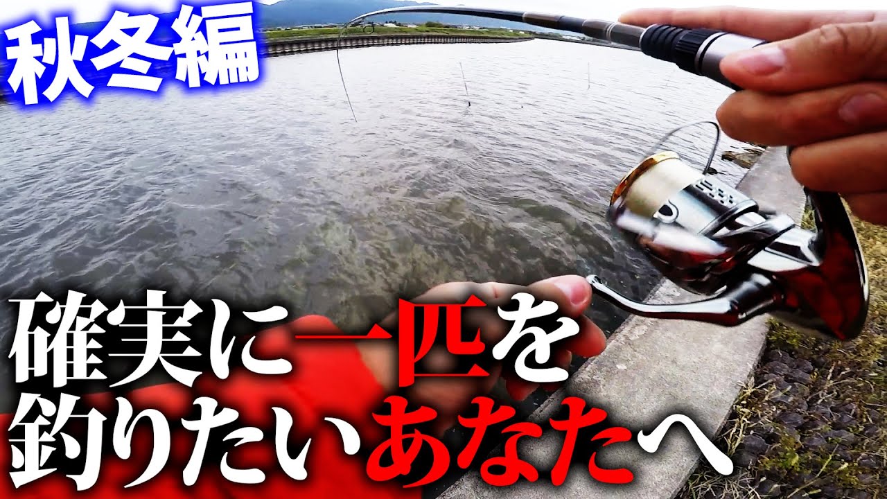 バス釣り 激釣カラー登場 これはヤバい レアリス ロザンテシリーズの22年newカラー公開 Bassfishing Youtube