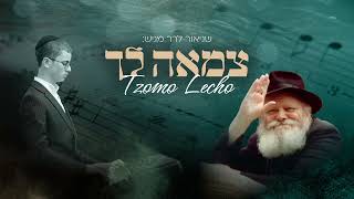 צמאה לך - Tzomo Lecho🎹 | שניאור לרר - S. Lerer