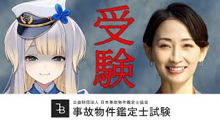 栞葉るり(しおりはるり)の配信のサムネイル画像