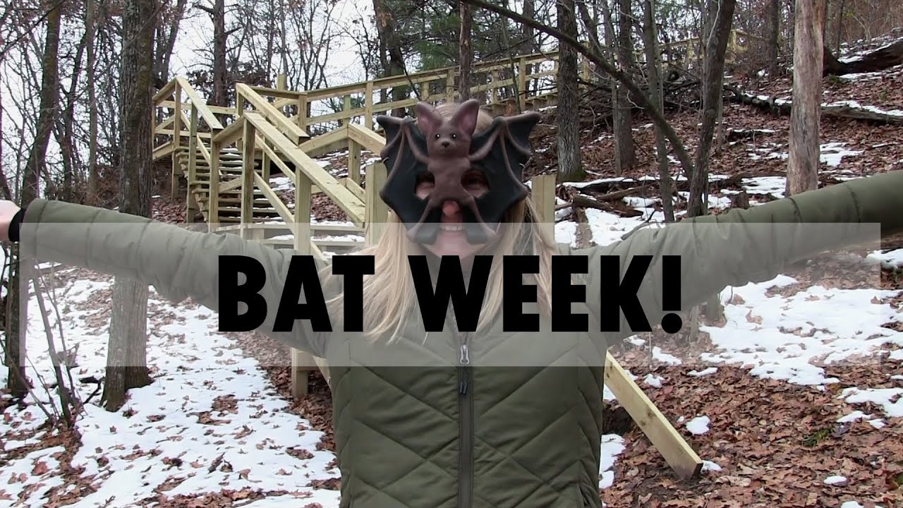 Bat Week