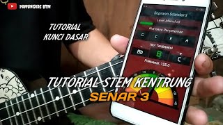 TUTORIAL STEM DAN KUNCI DASAR KENTRUNG SENAR 3 || PEMULA WAJIB NONTON