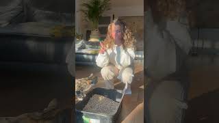 Viervoeter - Automatische Kattenbak 2025 Model