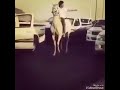 ماطيح ثابت عالي حلات واتس اب