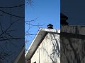 Fiske, Saskatchewan – Federal Enterprises Model 2 | Quick Siren Tour #10 (4/19/2026)