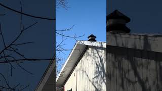 Fiske, Saskatchewan – Federal Enterprises Model 2 | Quick Siren Tour #10 (4/19/2026)