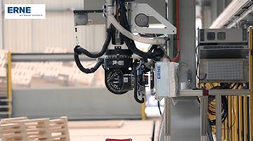 ERNE Portalroboter - Gantry Robot