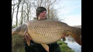 Top 10 Biggest Carp in the World