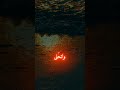 Muhammed (pbuh)🤲 #muslim #muhammadﷺ