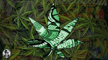 Sense (Bud Dwyer and the Cannabinoids) - Deadman & Digi (Music Video)