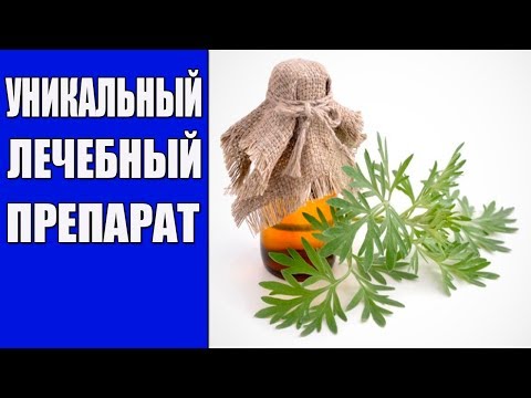 Уникальная польза горькой полыни. Настойка полыни, лечебные свойства.