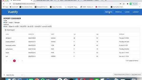 Report by NodeJs , VueJs , MongoDb