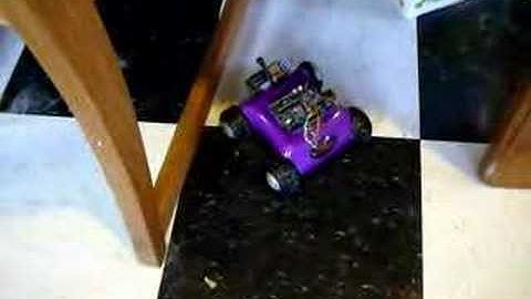 Rumblebot Arduino VS Cat