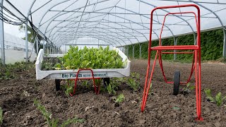 Terrateck - Harvesting and Single-wheel planting trolley for 60x40 crates