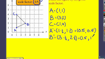 Scale Factor