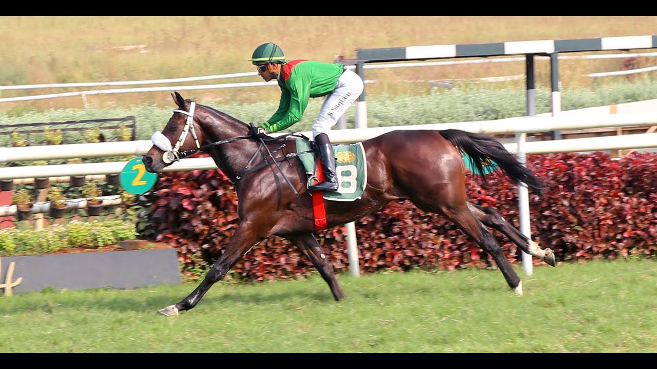DREAM SELLER Wins The Delhi Race Club Trophy YouTube dream-seller-wins-the-delhi-race-club-trophy-youtube