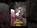 Drakarpo in paro