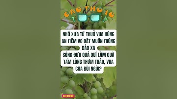Câu Đố Vui Nhộn 3: Thử Thách Tư Duy Logic Của Bạn p56 | Cao Thủ IQ #funny #dovui #giaitri #haihuoc