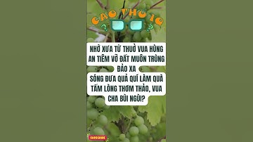 Câu Đố Vui Nhộn 3: Thử Thách Tư Duy Logic Của Bạn p56 | Cao Thủ IQ #funny #dovui #giaitri #haihuoc